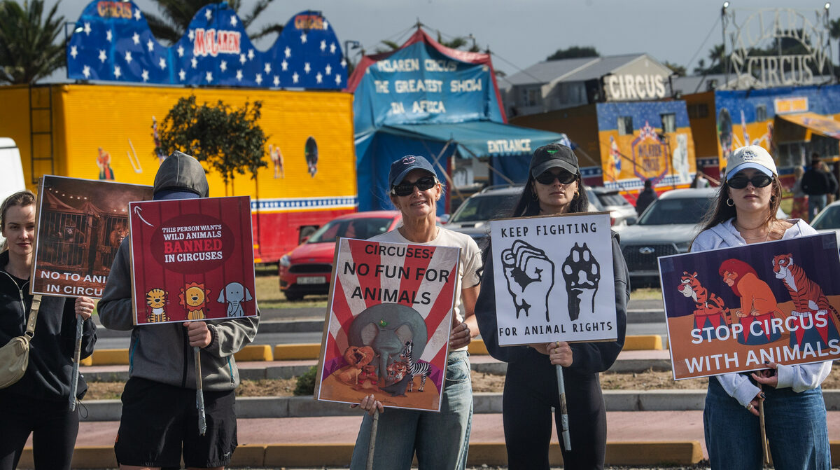 Protesters gathered in Milnerton over the weekend. Photo: Brenton Geach