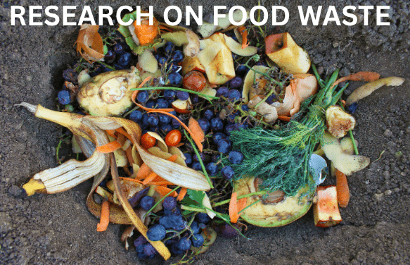 UWC research highlights how socio-economic differences and infrastructure shape household food waste practices in Cape Town. Image: Adobe Stock Doctoral research completed at the University of the Western Cape (UWC) has shed new light on how food waste is generated and managed across socio-economically different urban communities.