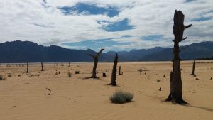 Cape Town groundwater levels in alarming decline, UWC study warns