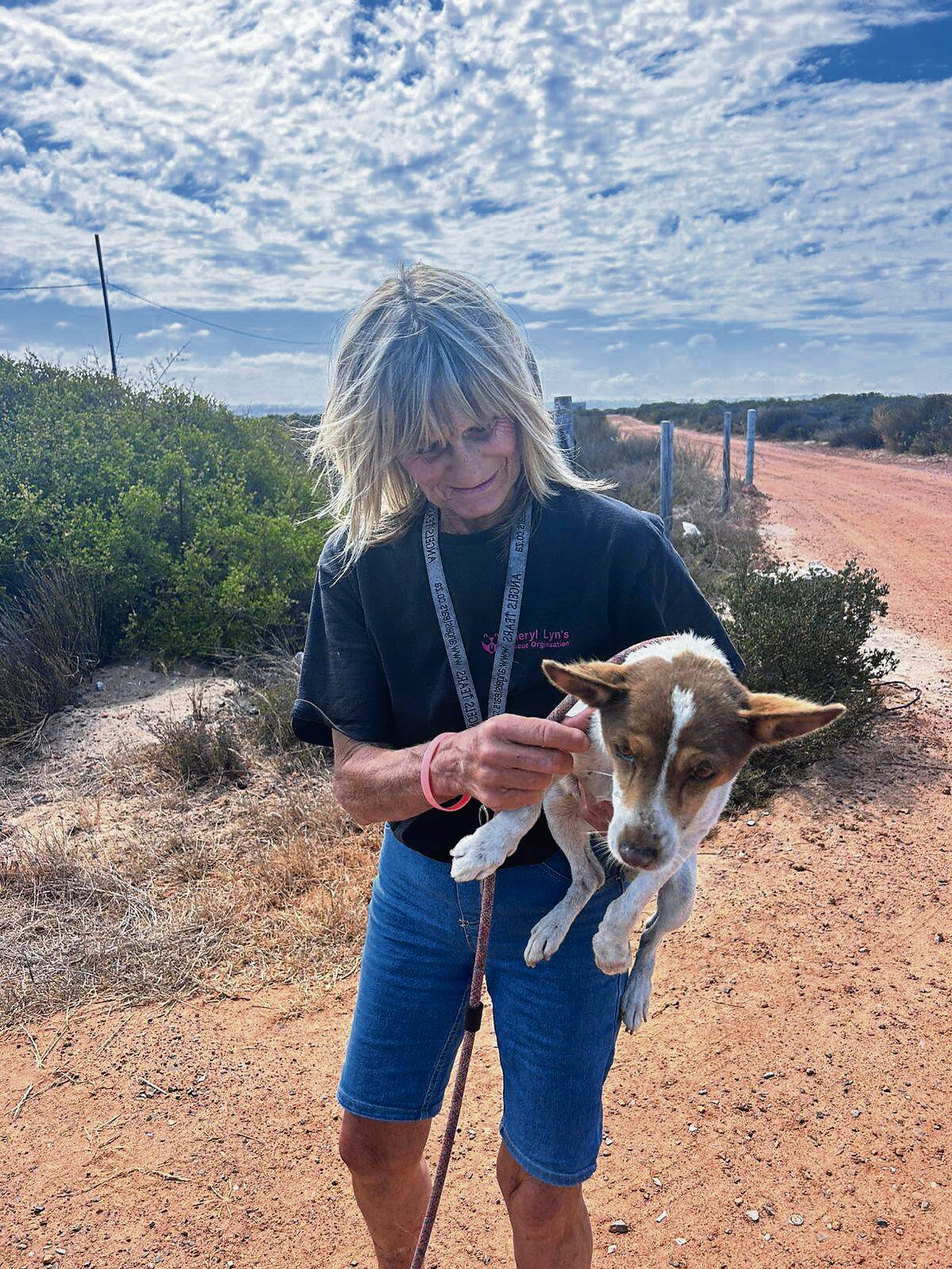 Amidst the wagging tails, Cheryl-Lyn Potgieter pauses for a moment with a furry friend.