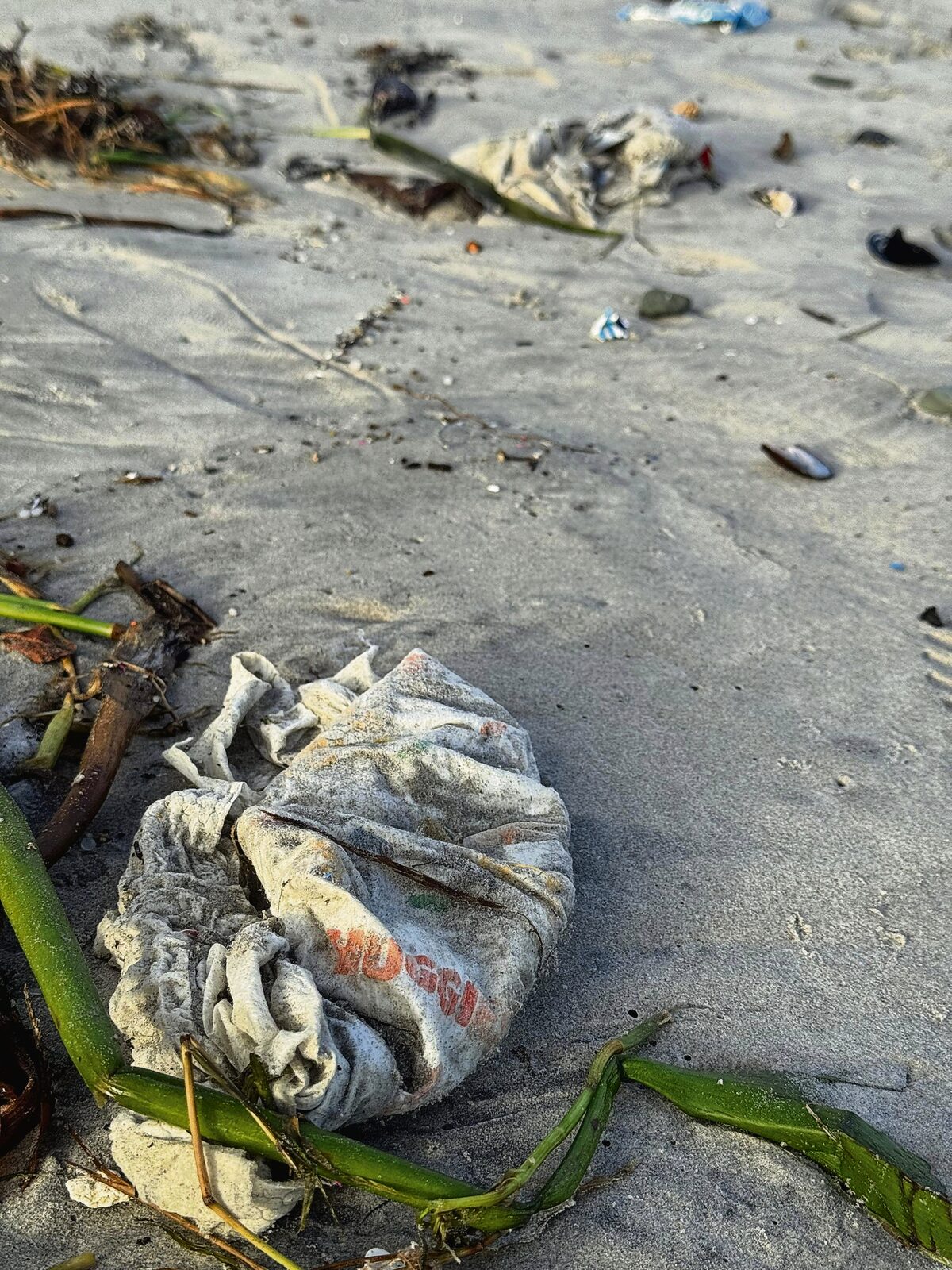 
Volunteers tackle over 200 nappies left behind on Lagoon Beach, highlighting the dangers of coastal pollution.