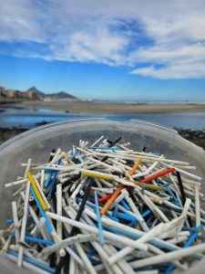 Hundreds of plastic sticks found on Milnerton Lagoon Beach