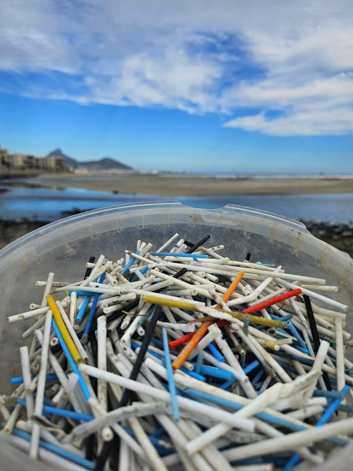 Hundreds of plastic sticks collected at Lagoon Beach highlight the growing problem of flushed bathroom waste reaching the ocean.