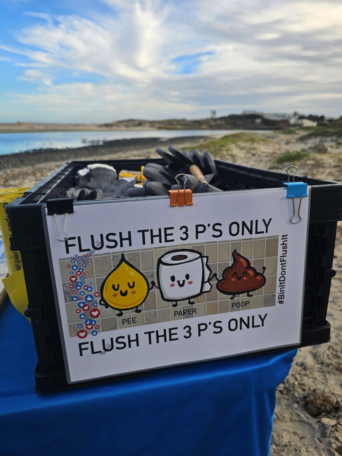 Environmental reminder from volunteers: flush only the three P’s.