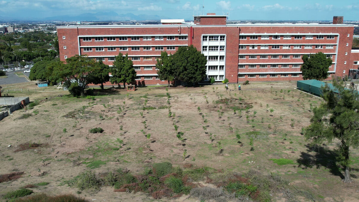 Karl Bremer Hospital celebrates 70 years with 200 new indigenous trees planted by young volunteers.