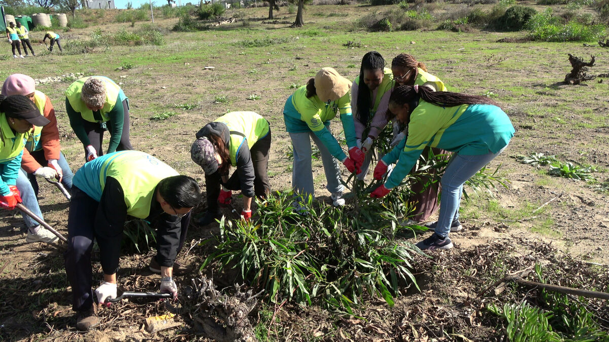 Young volunteers leave a lasting green legacy at Karl Bremer Hospital on its 70th anniversary.