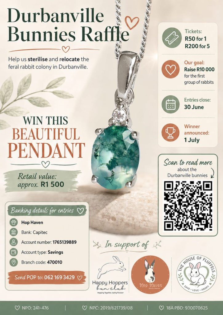 A raffle has been launched to raise funds.