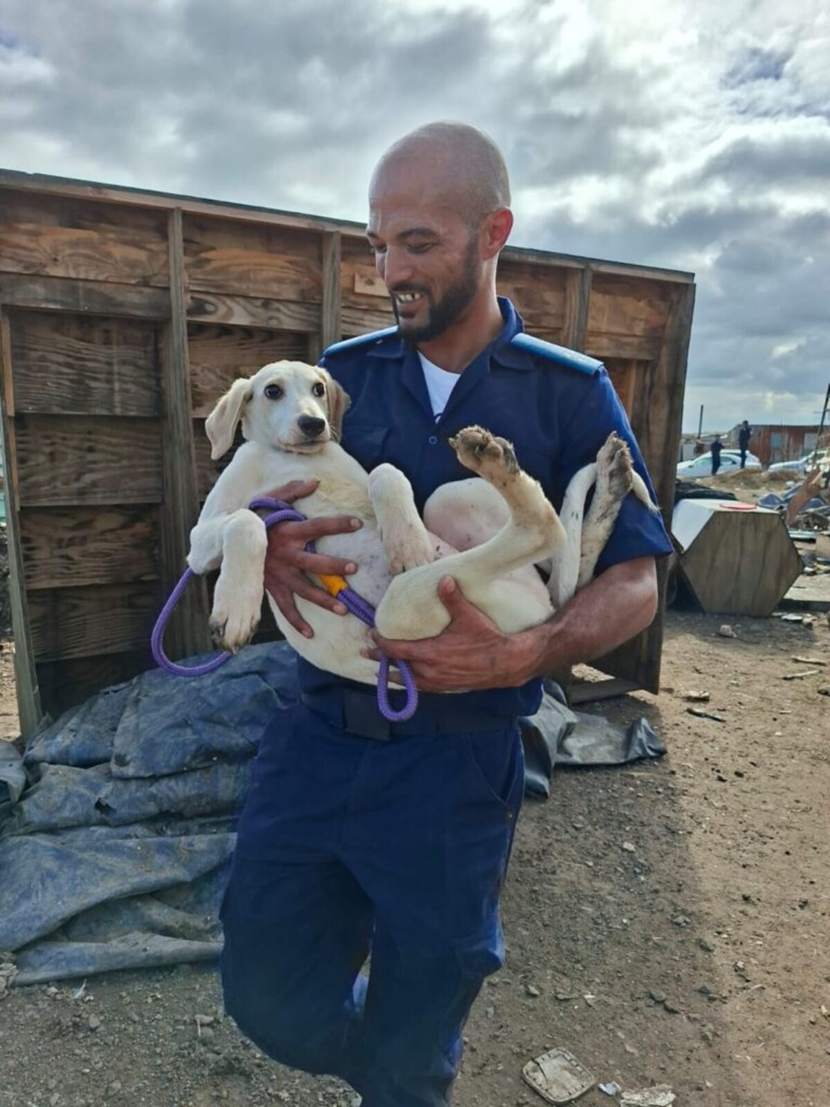 Animals found in poor condition during SPCA raid in Dunoon.