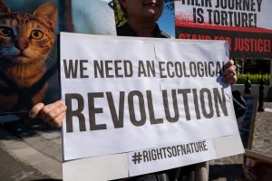 Animal rights groups gather outside parliament to push for legal reform