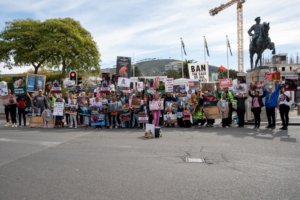 Animal protection groups gathered outside parliament in Cape Town on Saturday, calling for stronger legal protections for animals in South Africa.