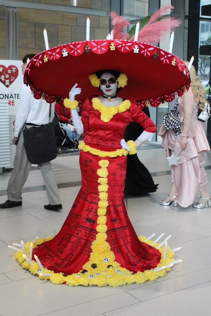 cosplayer 