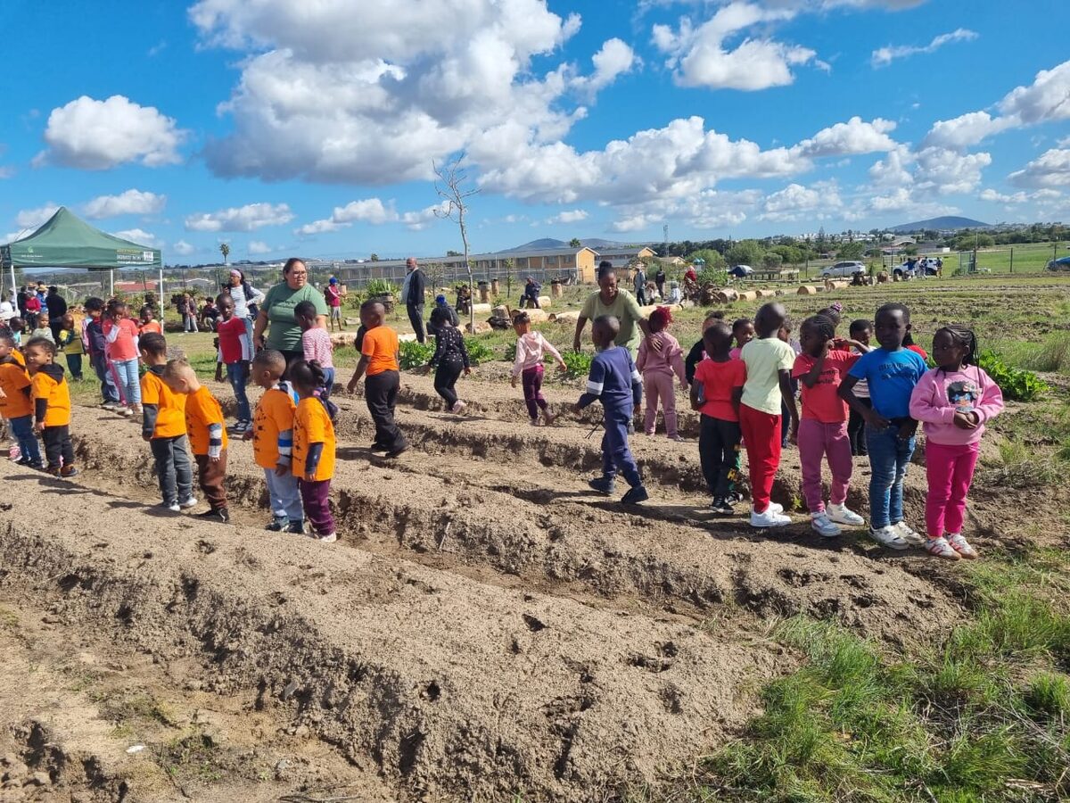 Those helping to press seedlings into the soil included children from two day cares in the area.