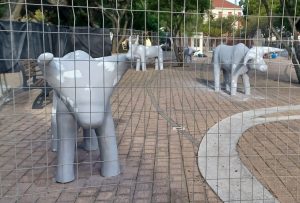 Oxen at Pampoenkraal Square in Durbanville restored after vandalism