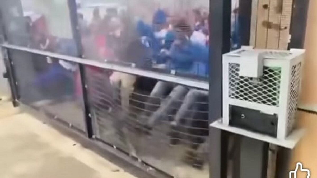 Learners attempting to kick of a school gate.