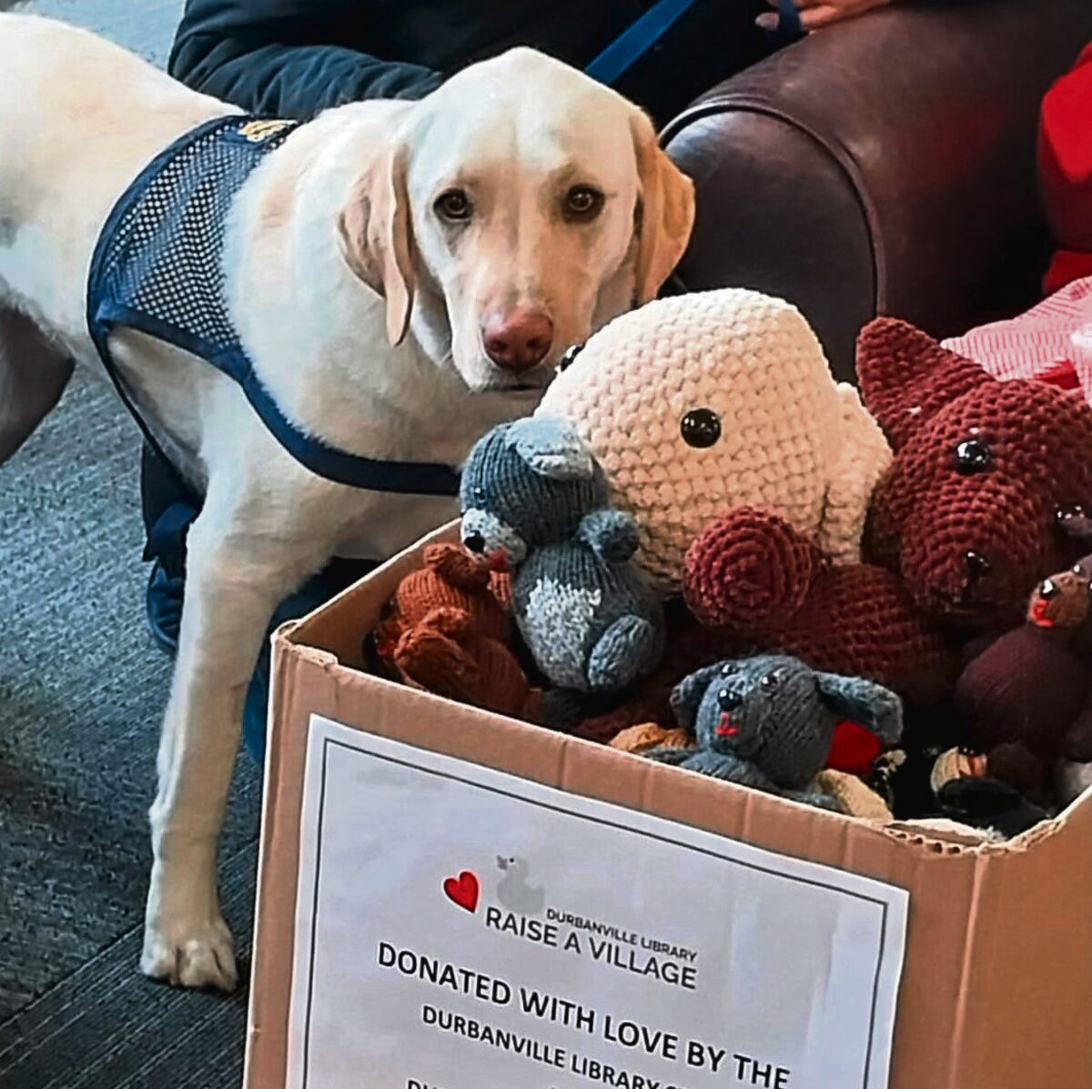 Knitting Ducks makes a difference in lives of traumatised children