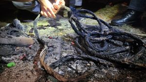 Cape Town’s ‘Copperheads’ makes 88 arrests and closes 136 dealers in ten-month crackdown
