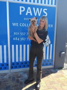 Storm devastation leaves animal rescue sanctuary in urgent need of help