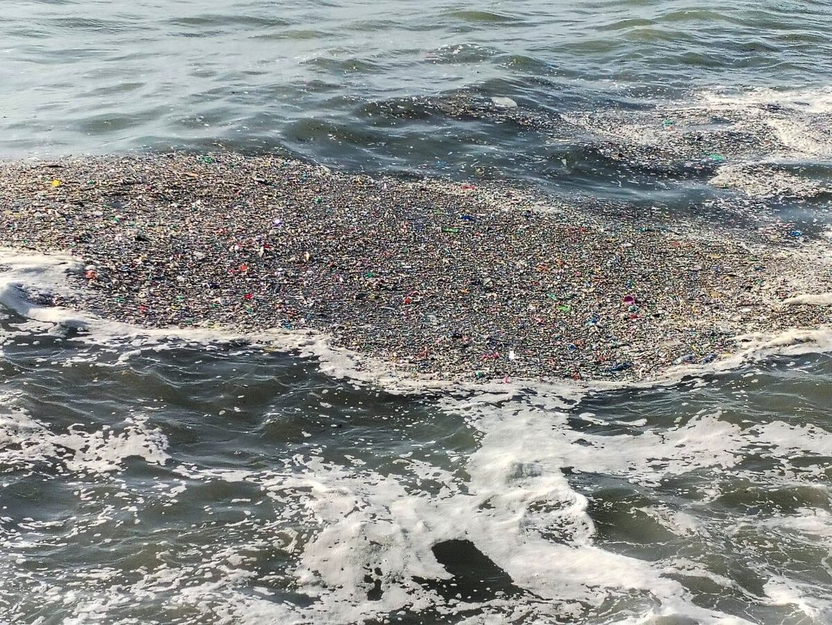 Black River pollution identified as key source of marine litter along Atlantic Seaboard.