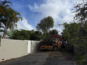 City attends to more than 10 700 storm-related electricity faults