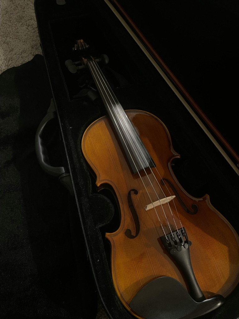 violin