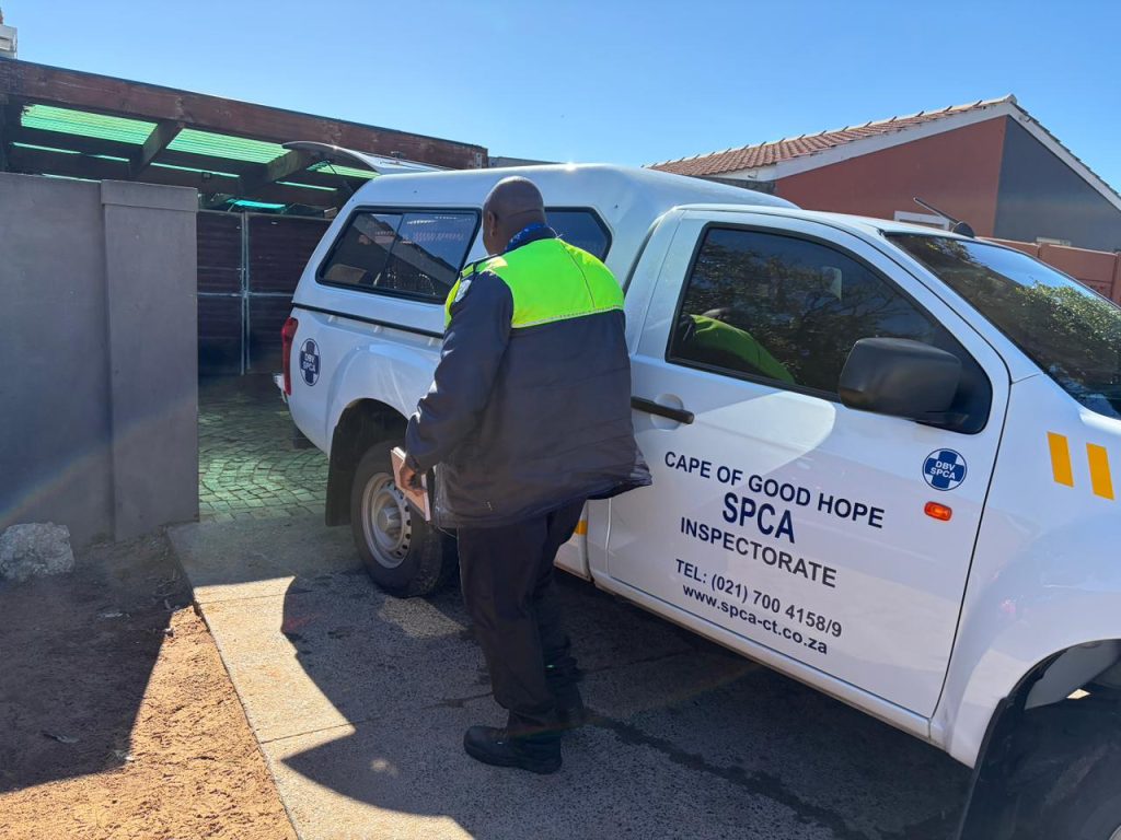 The SPCA inspect the home of man believed to be running a fake vet practice.