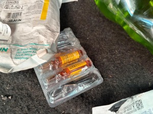 Shot dog’s botched surgery alerts SPCA to fake vet