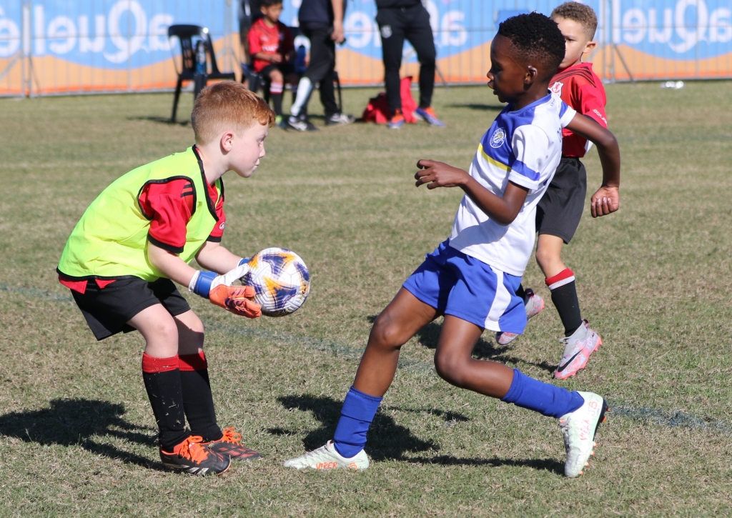 U-8: Sunningdale FC A vs Edgemead FC