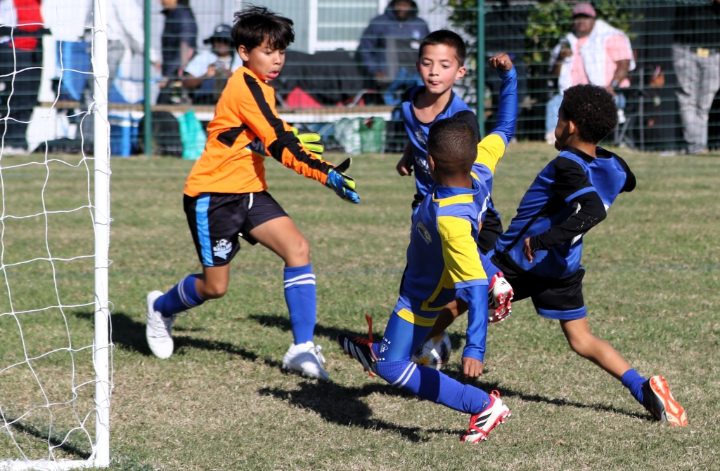 U-8: Ballers FC vs Newman’s FC.