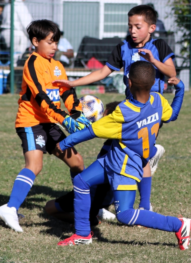 U-8: Ballers FC vs Newman’s FC.