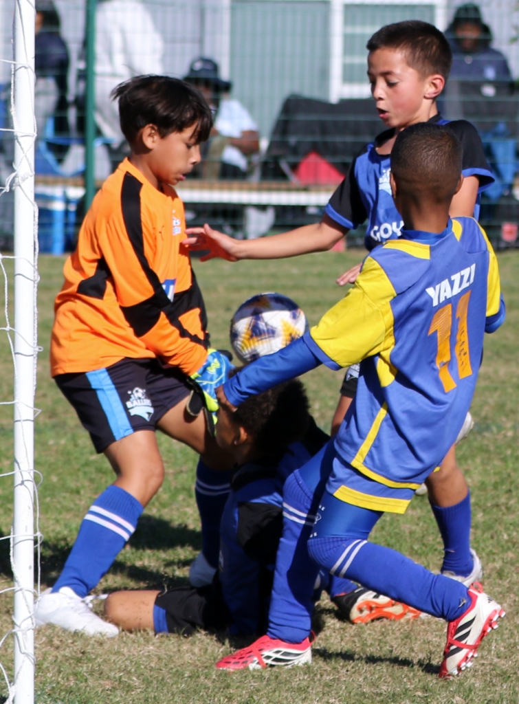 U-8: Ballers FC vs Newman’s FC.
