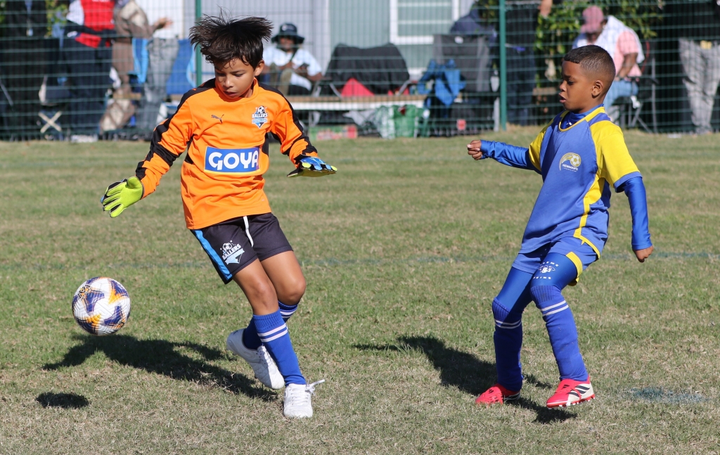 U-8: Ballers FC vs Newman’s FC.