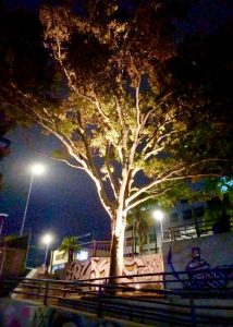 GTP lights up Bellville with skyline and park projects