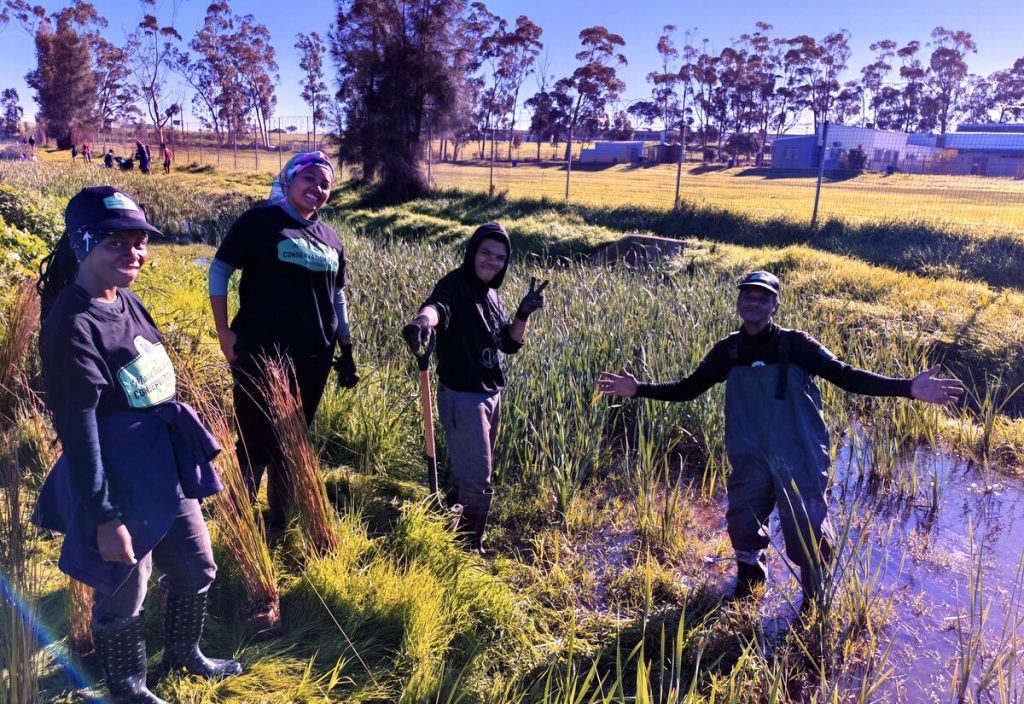 From left are volunteers Salome Solomons, Ju-Ané Maans, Lee-hano Wehr and Christopher Jackson. Photo: Danielle Cronje