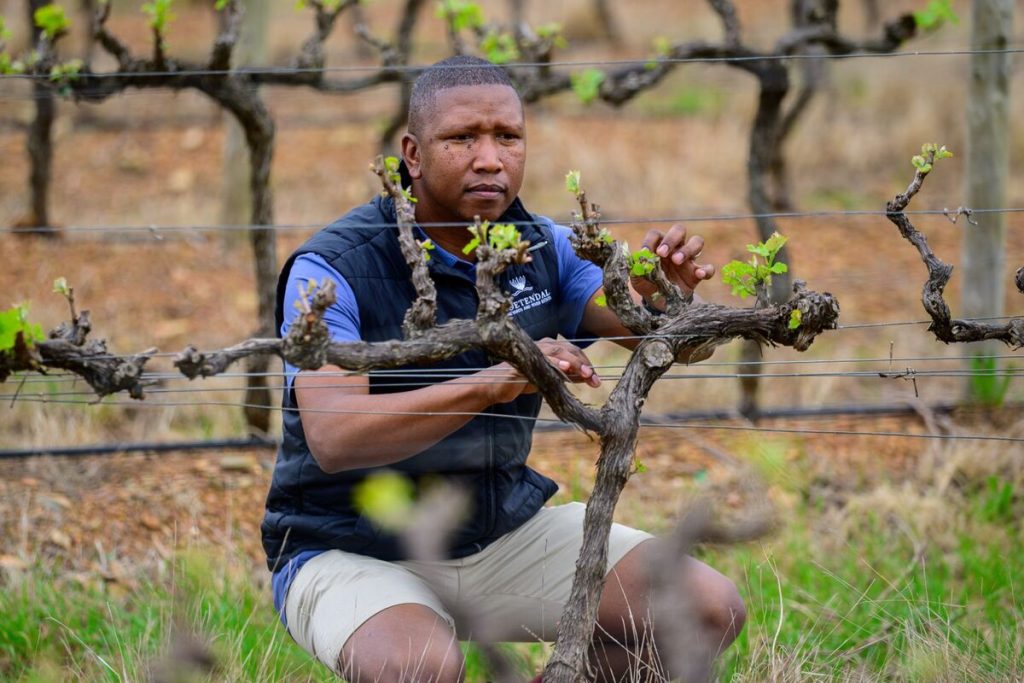 A son of the farm labourer, he was determined to break out of the cycle.