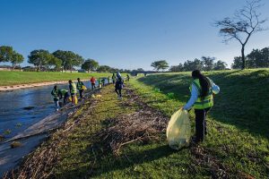 Eco Warriors remove more than 400kg of litter from Bottelary River