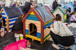 Grab a paintbrush: CapeGate’s Dogbox Project needs you this Mandela Day