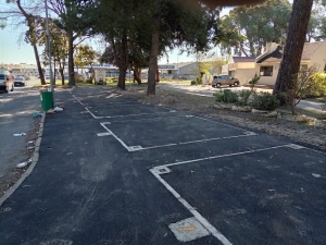 Public participation questioned over trading bays in Northpine