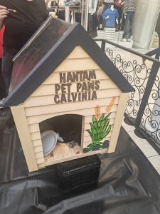 Paint a kennel, change a life: Cape Town’s Dogbox Project returns for Mandela Day