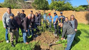 Tree planting boosts biodiversity at Olienhout Park in Plattekloof