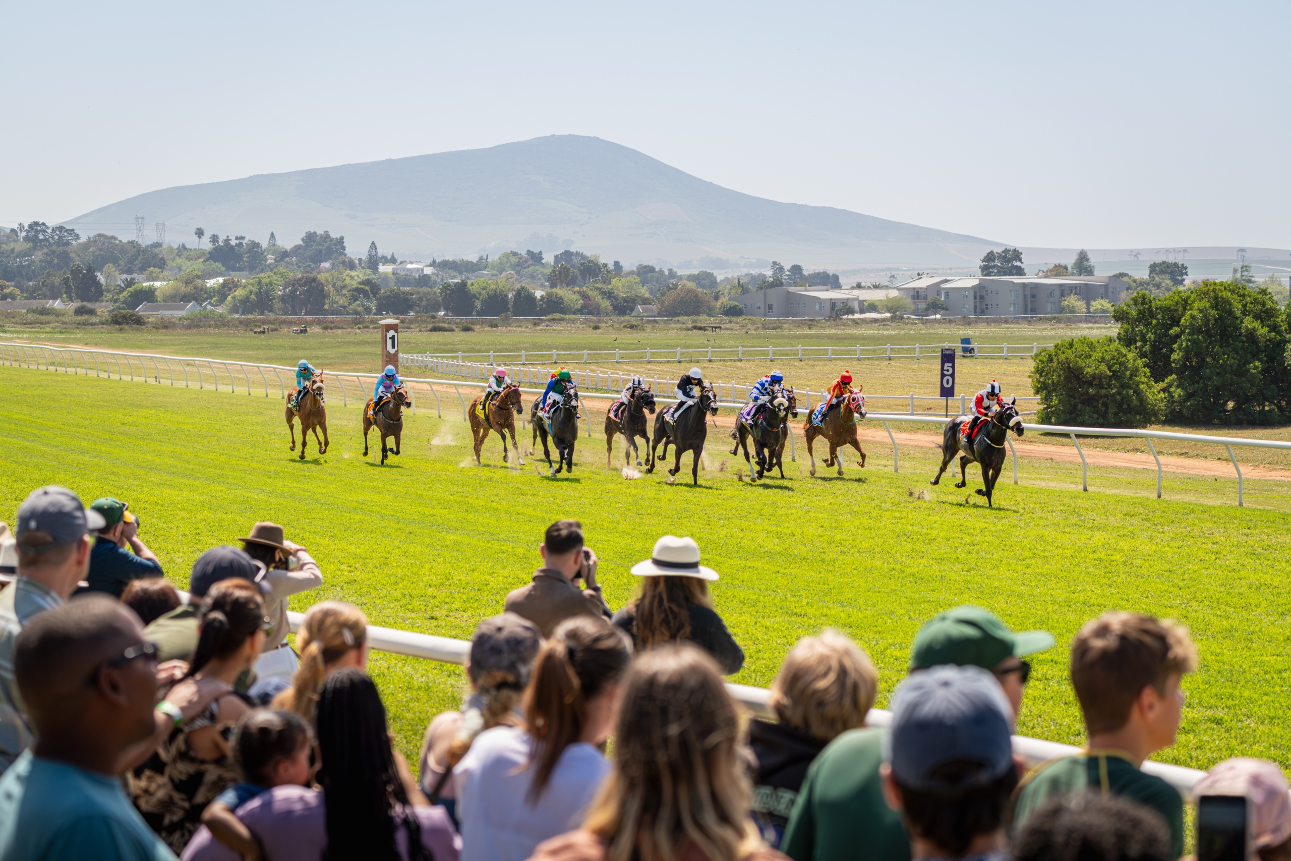 A wide panoramic shot of a horse race from the perspective of the crowd. Spectators line the white railings in the foreground watching the horses gallop on the track, with a large mountain rising in the clear background.