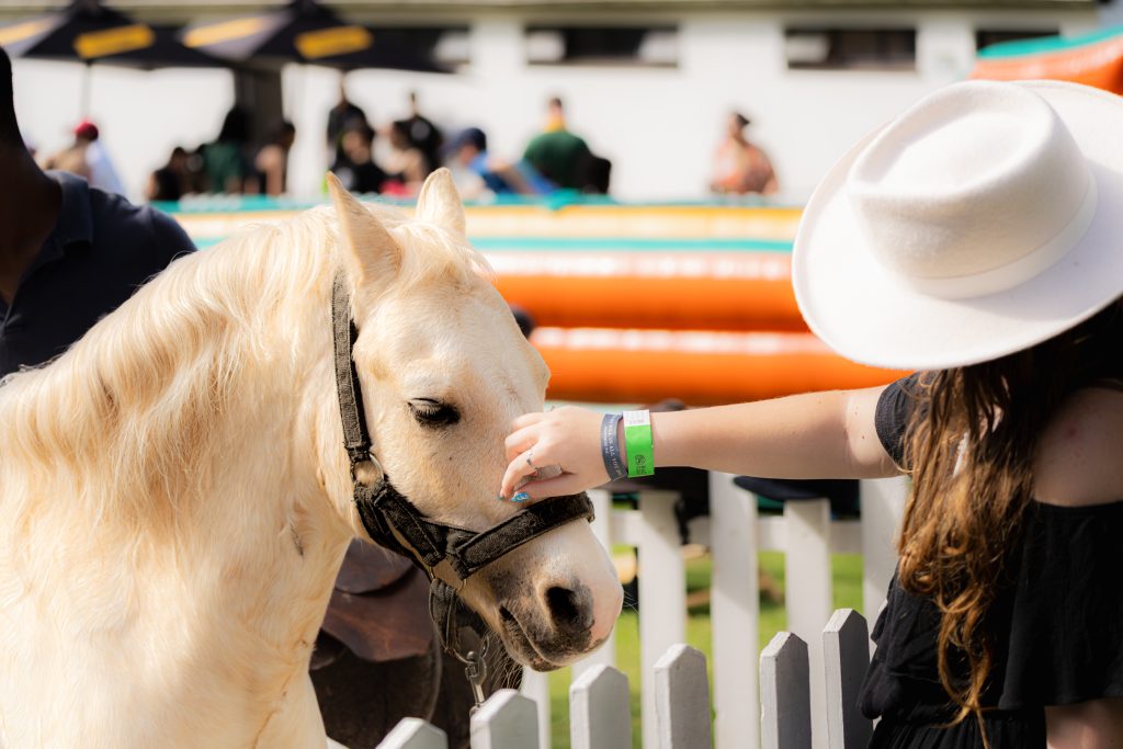 Woman in a white hat gently strokes the face of a white pony over a fence.
