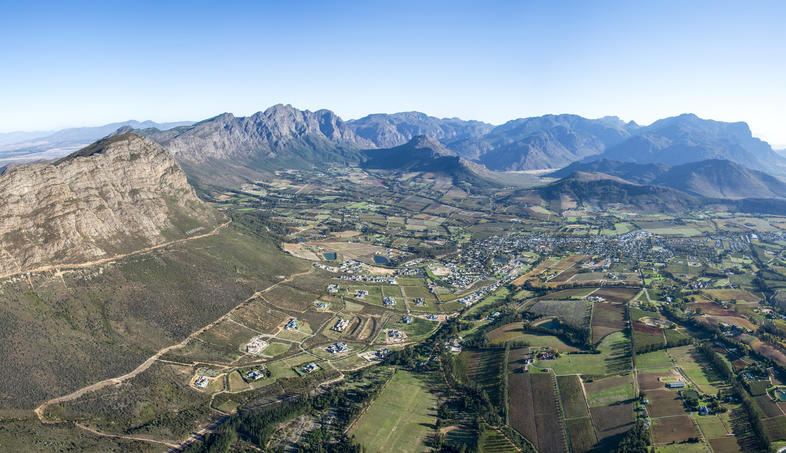 This South African river has a bacteria count off the charts: a natural filter is cleaning it for watering food gardens