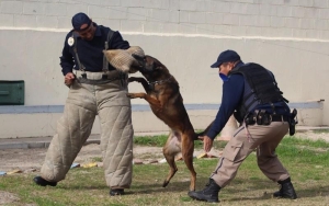 Law Enforcement sees increase in arrests, attacks on officers