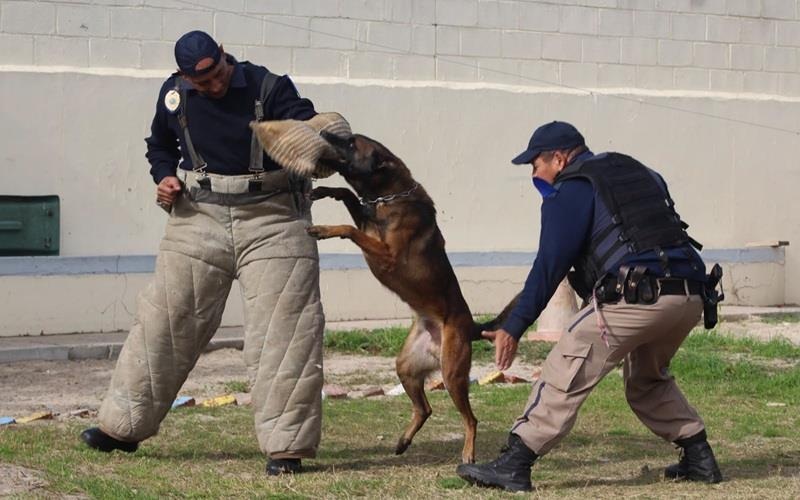 The Metro Police's K9 Unit is reaping success.