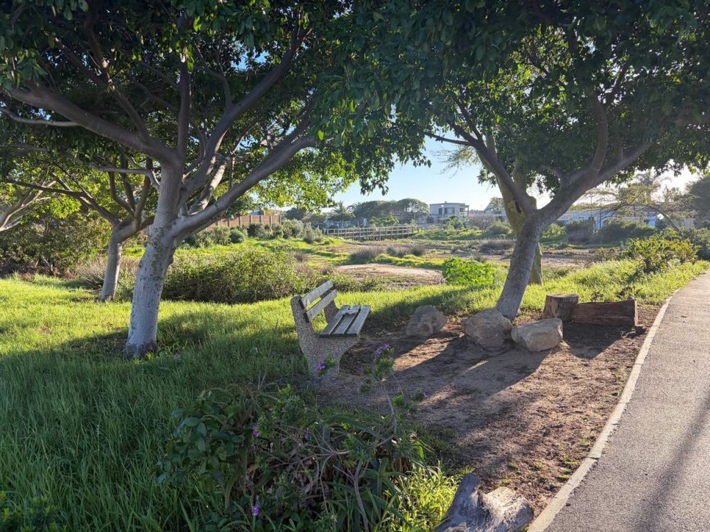 What was once a neglected storm-basin is now becoming a vibrant green space for residents to enjoy.
