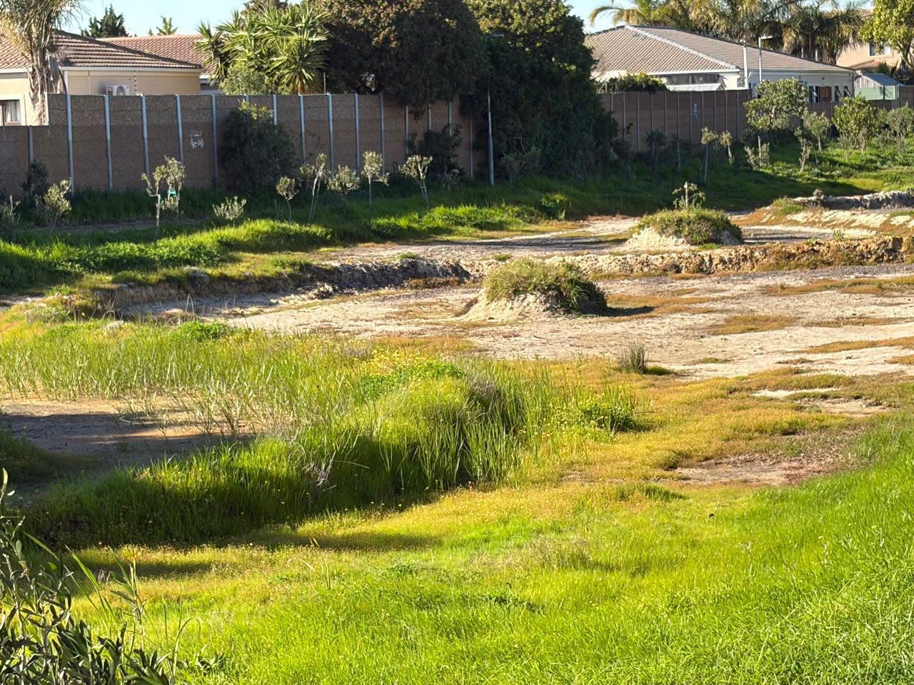 Marlborough Park continues to flourish