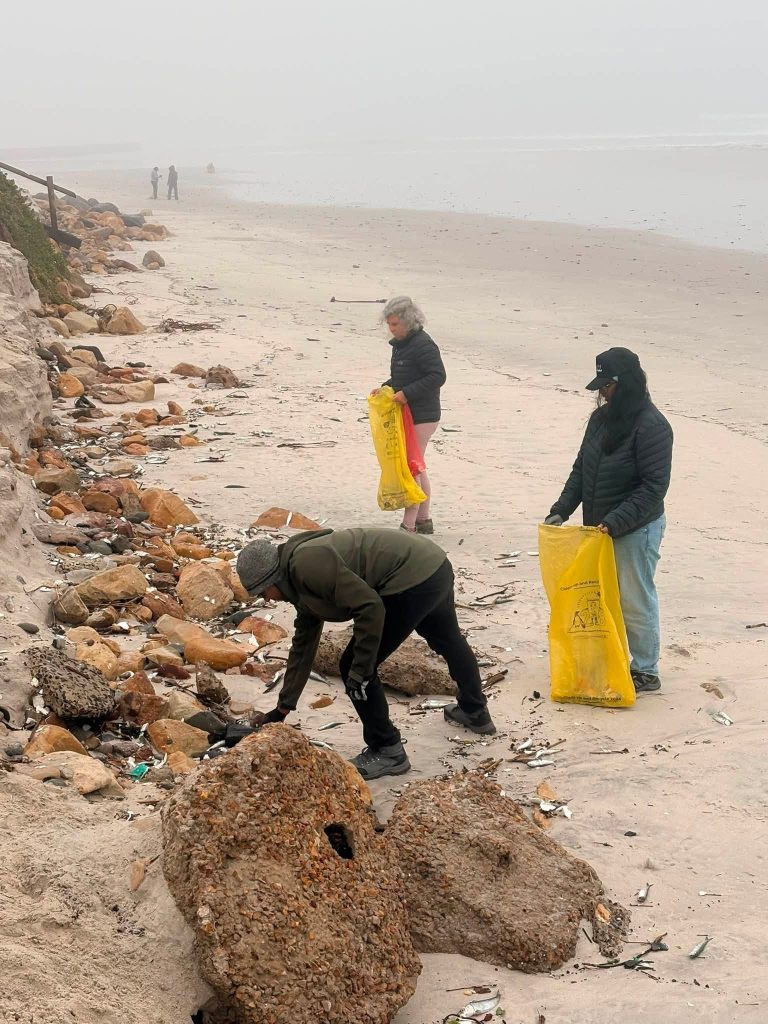 Volunteers work along Lagoon Beach 
