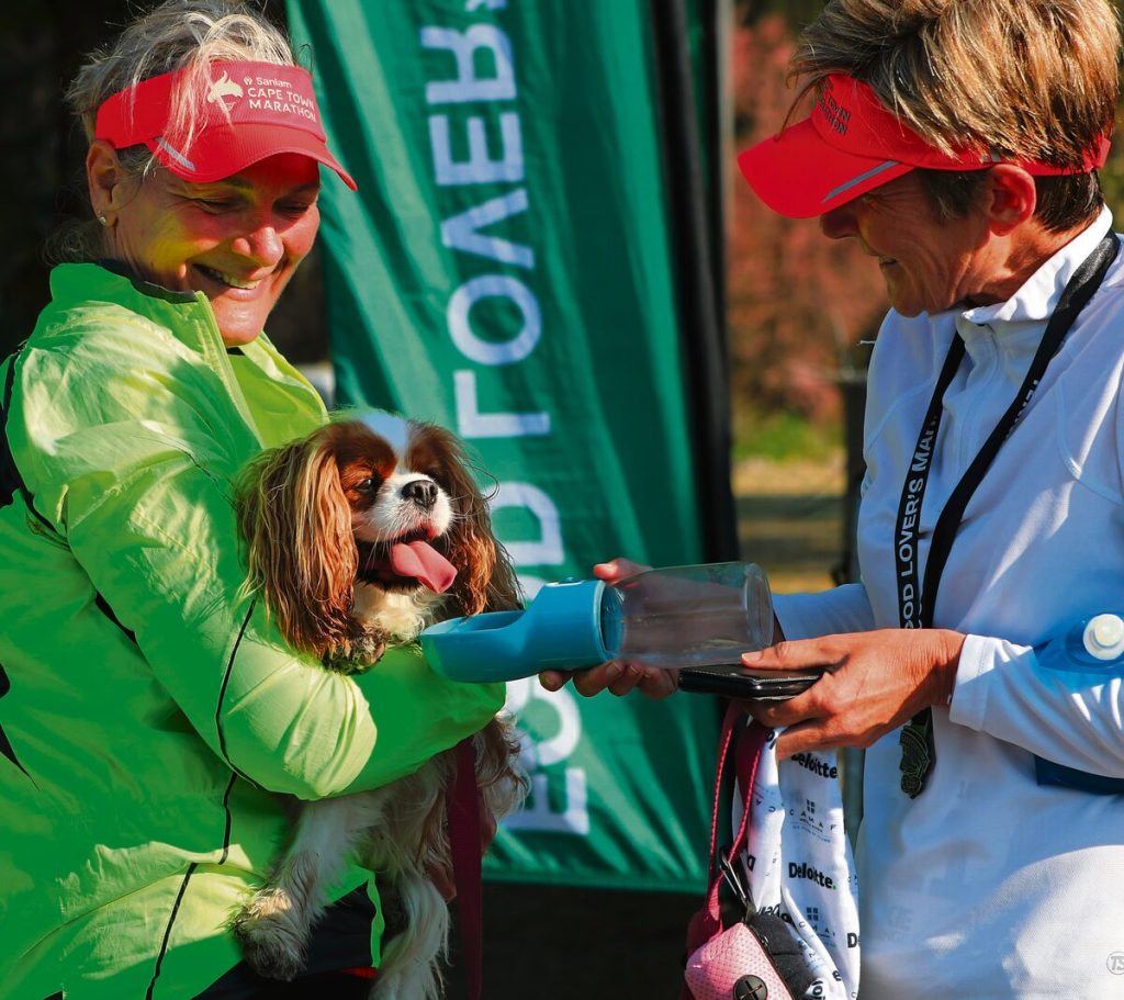 Tekkie Challenge 2026