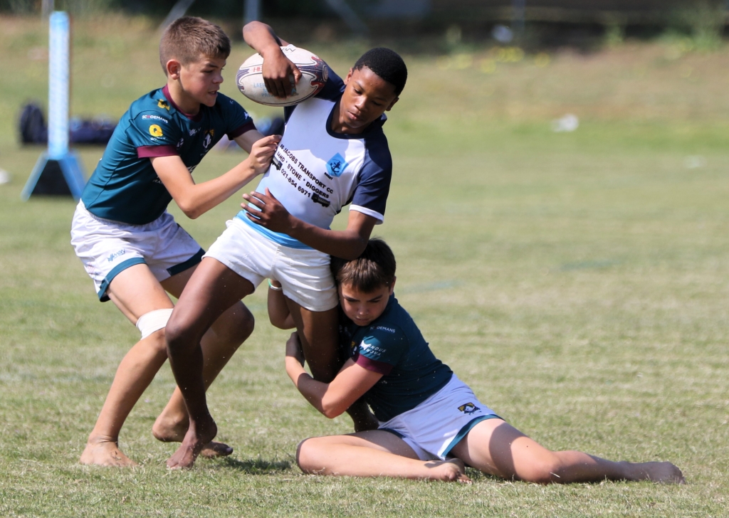 Gene Louw
