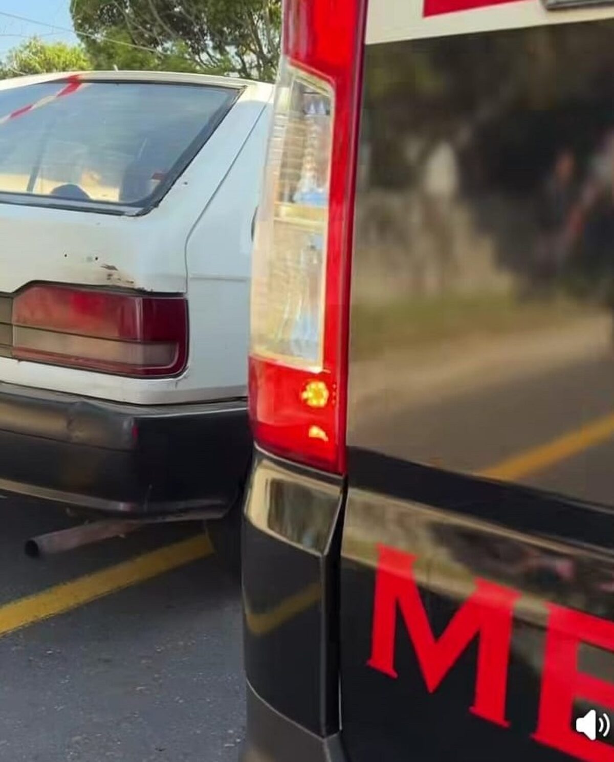 The alleged mugger was shot dead by a passing motorist.